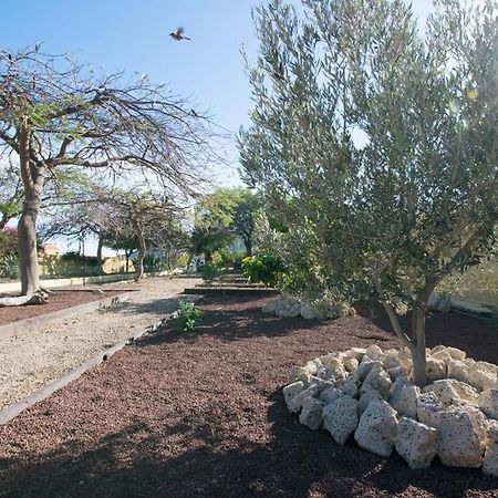 Güimar Rural Villa With Private Pool מראה חיצוני תמונה